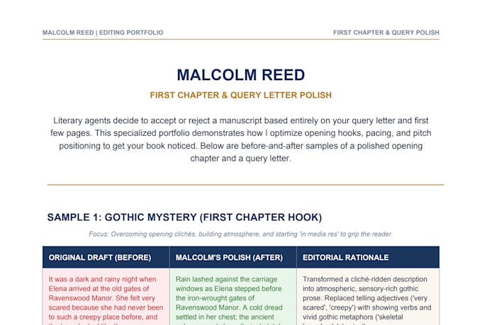 edit first chapter query letter and provide developmental book critique